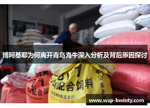 博阿基耶为何离开青岛海牛深入分析及背后原因探讨