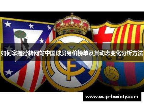 如何掌握德转网站中国球员身价榜单及其动态变化分析方法