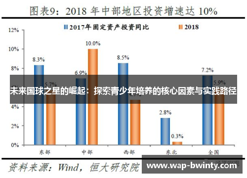 未来国球之星的崛起：探索青少年培养的核心因素与实践路径