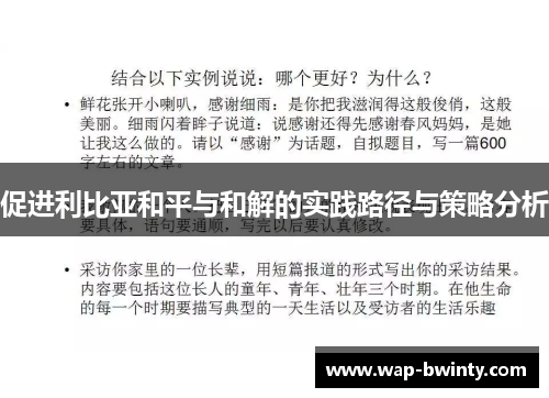 促进利比亚和平与和解的实践路径与策略分析