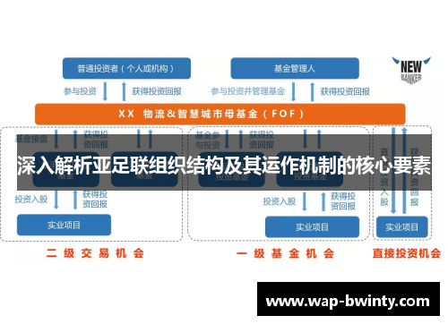 深入解析亚足联组织结构及其运作机制的核心要素