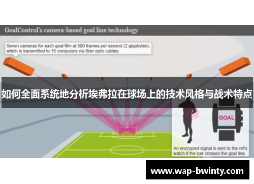 如何全面系统地分析埃弗拉在球场上的技术风格与战术特点